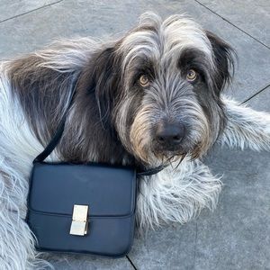 Celine cross body bag